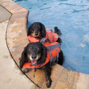 Fundraising Page: Lauren Skufca